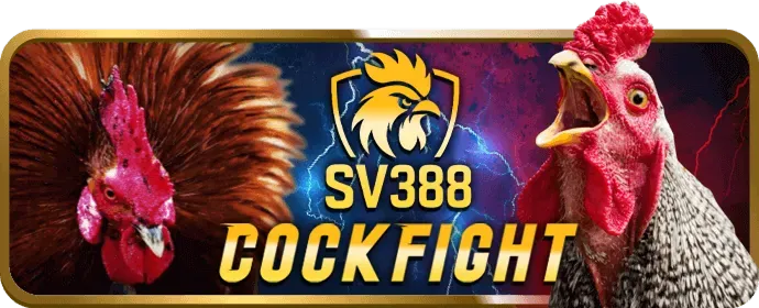 Live Casino Vwin